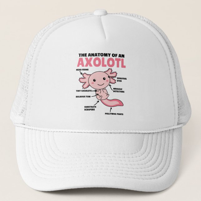 Boné Anotação Axolotl Anatomia De Um Axolotl (Frente)