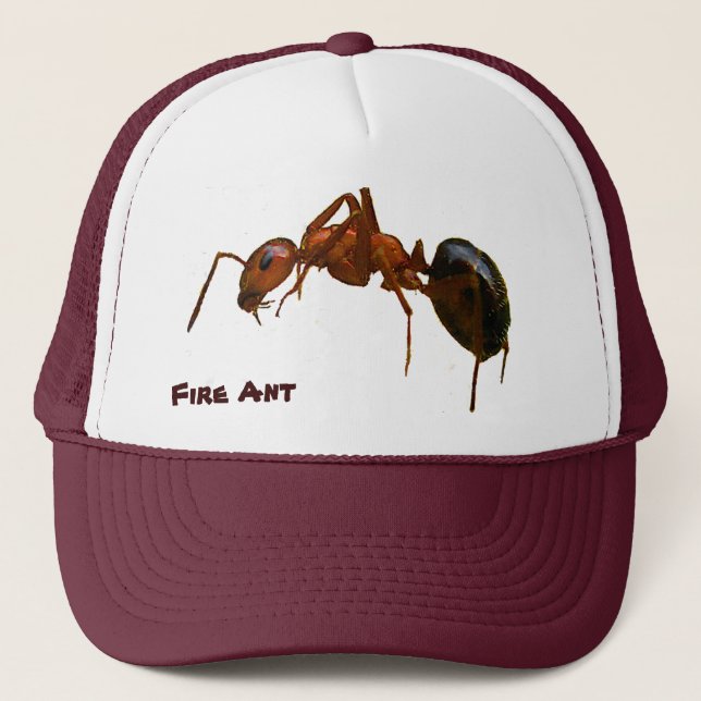 Boné Ant de Fogo (Frente)