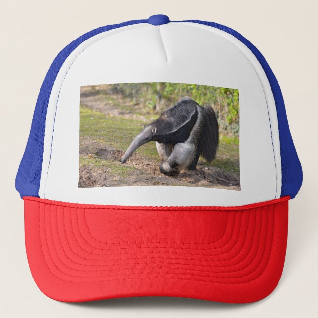 Boné Anteatro Gigante andando na grama (Frente)