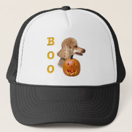 Boné Apricot Coated Poodle Boo