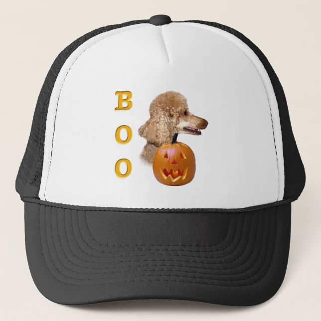 Boné Apricot Coated Poodle Boo (Frente)