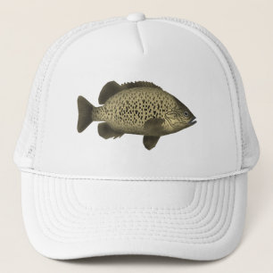 Boné Arrastão de Carvão