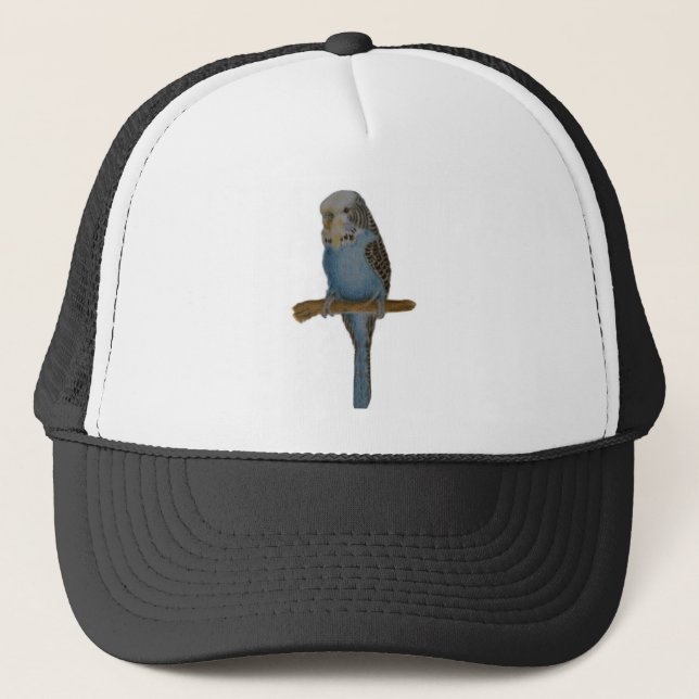 Boné Arte azul de Budgie (Frente)