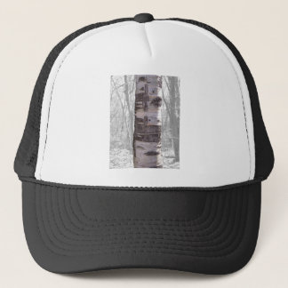 Boné Árvore de Birch