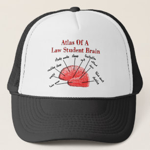 Boné Atlas of Law Student Brain