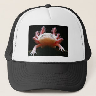 Boné Axolotl Axolotl.png