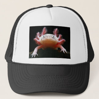 Boné Axolotl Axolotl.png