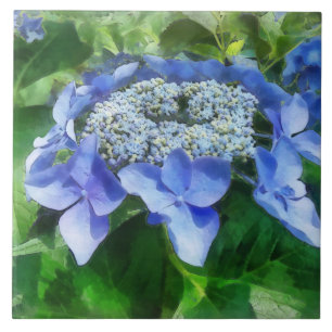 Boné Azul Lace Hydrangea Vamos