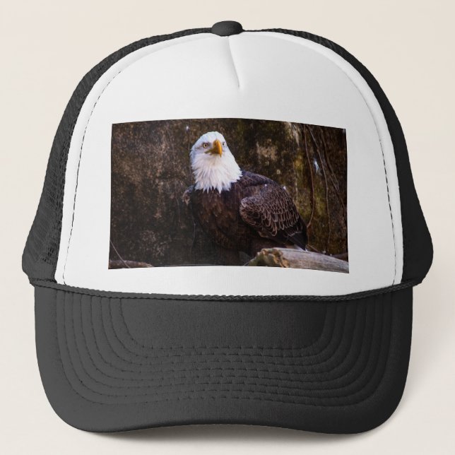 Boné Bald Eagle (Frente)