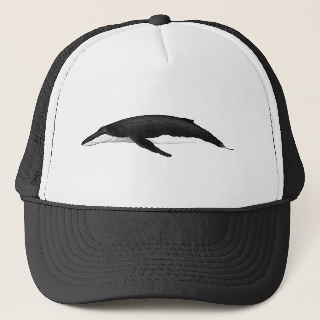 BONÉ BALEIA HUMPBACK (Frente)
