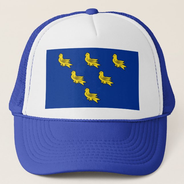Boné Bandeira de Sussex Trucker Hat (Frente)