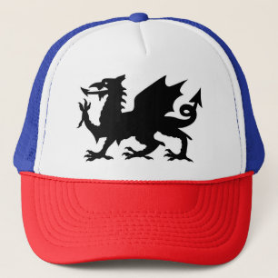 Boné Bandeira do Dragão Galês, Bandeira do Dragão do Pa