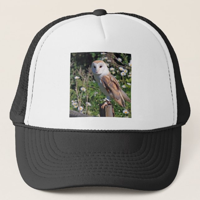 Boné Barn Owl (Frente)