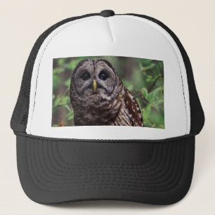 Boné Barred Owl