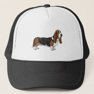 Boné Basset hound