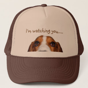 Boné Basset Hound que espreita dentro