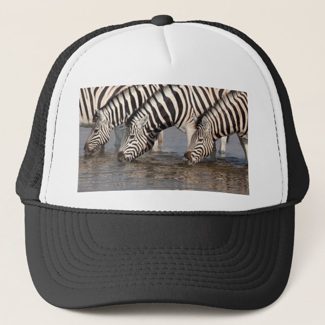 Boné Bebendo Zebras (Frente)