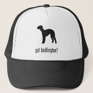 Boné Bedlington Terrier