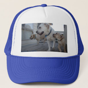 Boné Beijos de Cachorrinho: Família Labrador Cor Creme