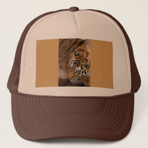 Boné Bengala Tigre