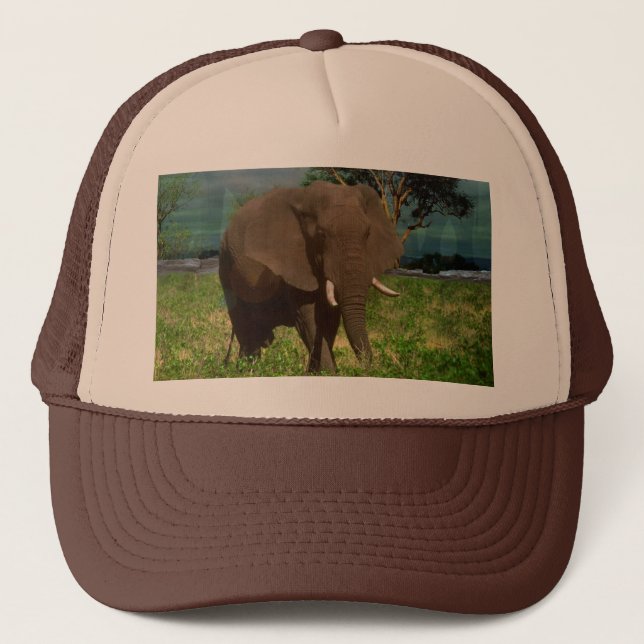 Boné Big Brown Elephant Grazing, (Frente)
