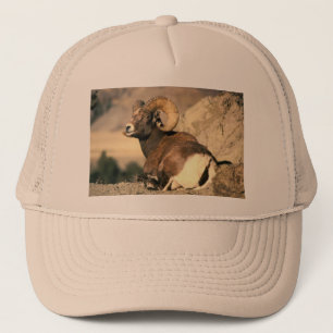 Boné Bighorn Ram