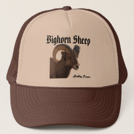 Boné Bighorn Sheep Hat