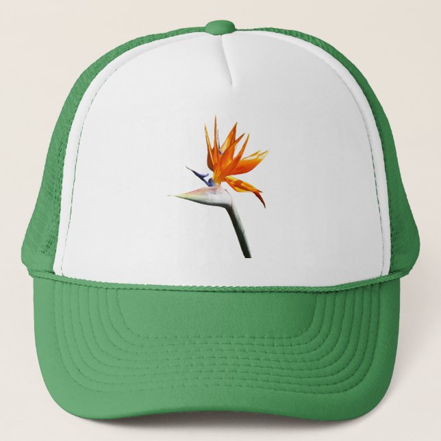Boné Bird of Paradise Orange Tropical Flower (Frente)