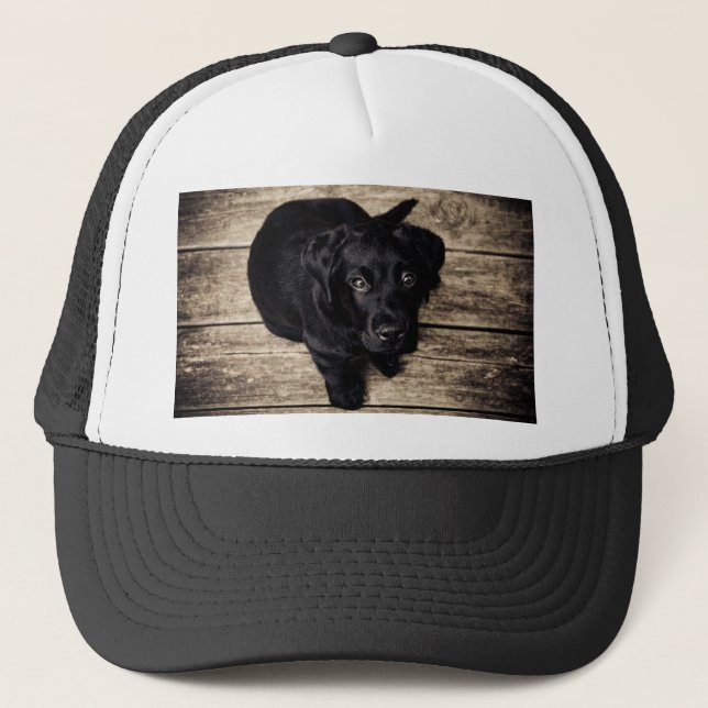 Boné Black Labrador Retriever Puppy sobre madeira (Frente)