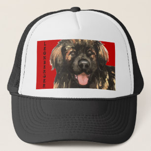 Boné Bloco da cor de Leonberger