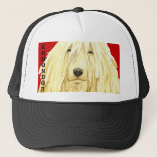 Boné Bloco de Cores Komondor