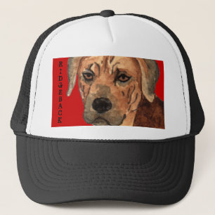 Boné Bloco de Cores Ridgeback da Rodésia
