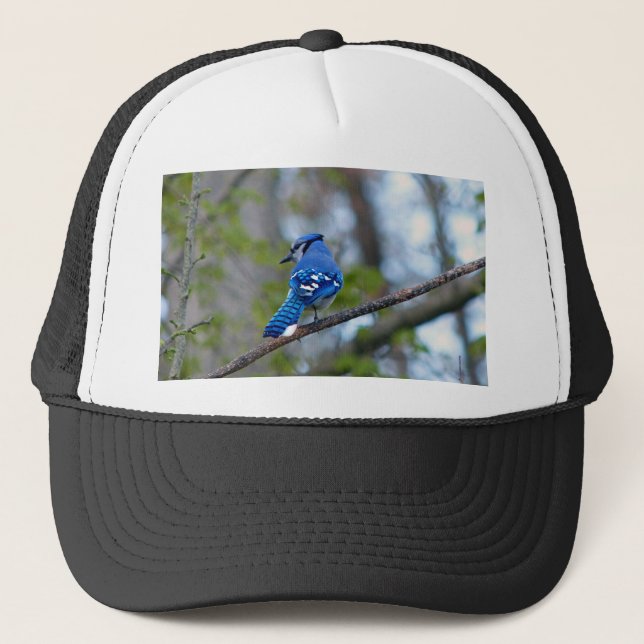 Boné Blue Jay (Frente)