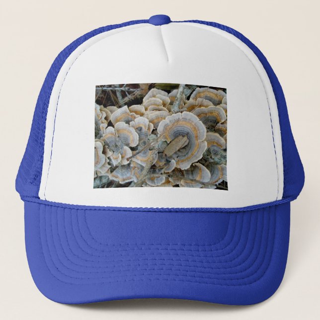 Boné Blue Shelf Fungus Hat (Frente)