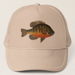 Boné Bluegill Bream