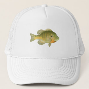 Boné Bluegill fêmea - brema - Sunfish
