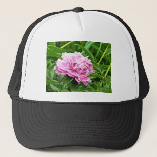 Boné Bonito Pink Peony