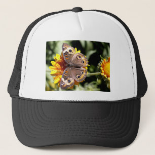 Boné Borboleta castanha colorida com olhos múltiplos