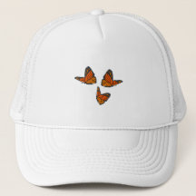 Borboleta Monarca
