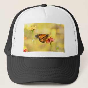 Boné Borboleta Monarca na Zinnia