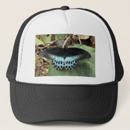 Boné Borboleta Mórmon Iridescente Azul