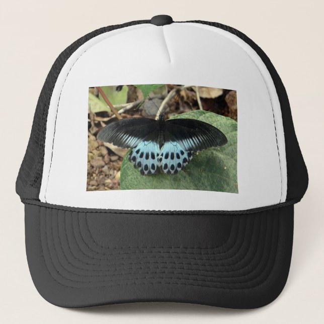 Boné Borboleta Mórmon Iridescente Azul (Frente)