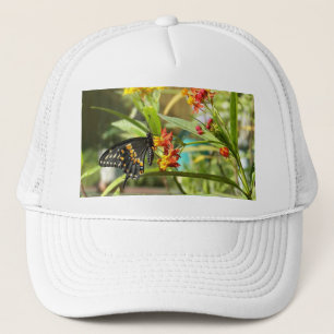 Boné Borboleta Negra
