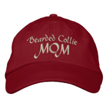 Collie Dog MOM