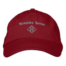 Donts de Pai de Yorkshire Terrier