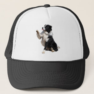 Boné border collie