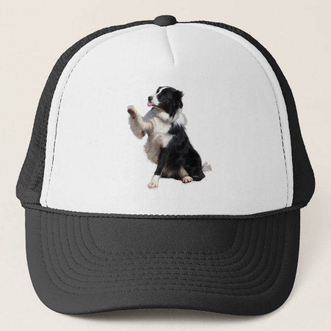 Boné border collie (Frente)