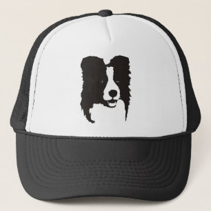 Boné Border collie