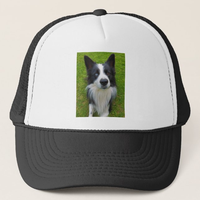 Boné Border Collie (Frente)