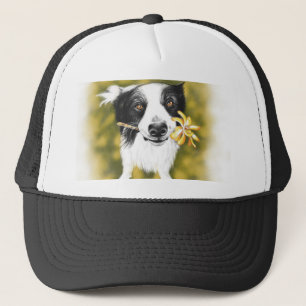 Boné Border collie bonito e flores